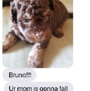 Meet your Posher, Terry